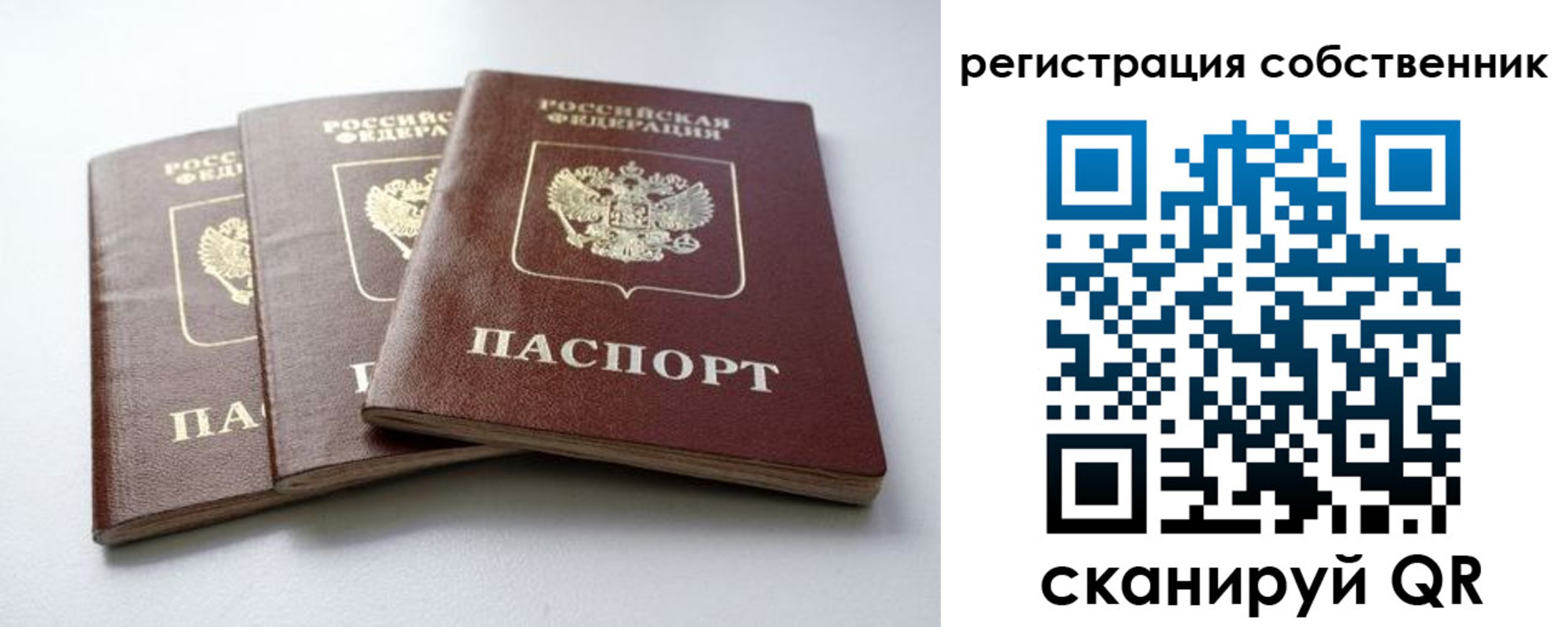 прописка для школы в Большом Камне
